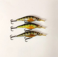 Live target yellow for sale  Louisville