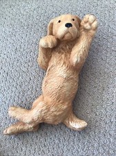 Golden retriever puppy for sale  Langhorne