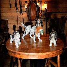 Trio english setter for sale  Somerset