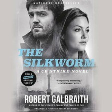 Silkworm audio good for sale  Montgomery