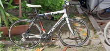 Bicicletta usata uomo usato  Roma