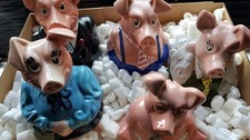 Nat west pigs for sale  SEVENOAKS