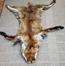 Ancienne peau renard d'occasion  Plaisir