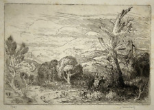 Fuite egypte arbre d'occasion  Pluvigner