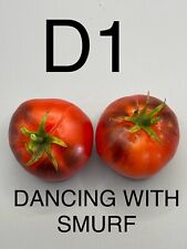 Graine seed tomate d'occasion  La Pacaudière