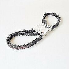 73740251b coppia cinghie usato  Pagani