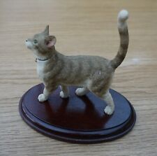 Sherratt simpson tabby for sale  PERSHORE