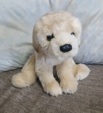 Douglas large golden for sale  Chatsworth
