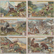 Figurine Liebig usato Figurine Liebig usato  Bologna