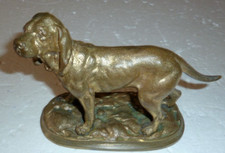 Superbe chien chasse d'occasion  Villersexel
