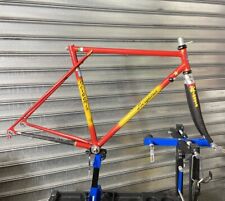 Vintage frameset bergamin usato  Torino