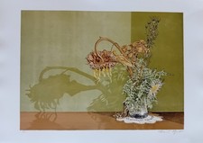 Dario manini 50x70 usato  Como