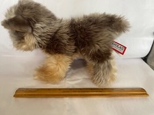 Douglas yorkshire terrier d'occasion  Expédié en Belgium