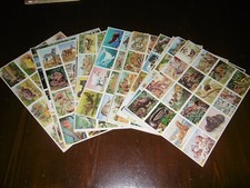 Set fogli con usato  Rancio Valcuvia