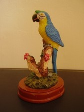 Blue yellow macaw for sale  BURY ST. EDMUNDS