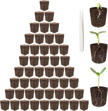 starts plant vegetable for sale starts plant vegetable for sale Denver
