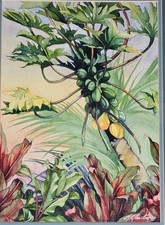 Mary faustine original for sale  Imperial Beach