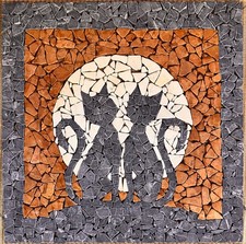 Gatti con luna usato Gatti con luna usato  Chiampo