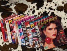 1986 playboy complete for sale  Queen Creek