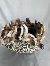 Unusual clay abstract for sale  Dunnellon