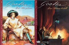 goethe bande gebraucht kaufen goethe bande gebraucht kaufen Stuttgart