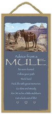 Advice mule sure for sale  Tucson