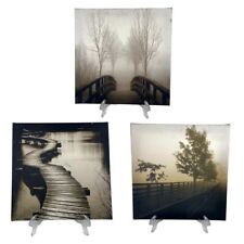 Set sepia pathways for sale  Anderson