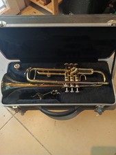 Tromba usato  Villamagna