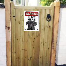 Warning live cane for sale  MANSFIELD