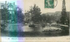 Millau jardins plantes d'occasion  Vasles