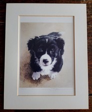 Rare vintage naomi for sale  TENBY
