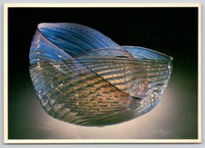 Dale chihuly glass for sale  Waco