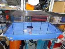 Barney super hamster for sale  MANCHESTER