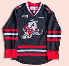 Niagara ice dogs for sale  Rio Rico