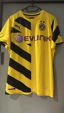 Bvb borussia dortmund gebraucht kaufen  Werdohl