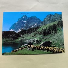 Alta valle crissolo usato  Bari