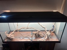 Juwel rio 240 for sale  NORWICH
