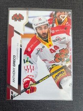 Anthony greco sportzoo gebraucht kaufen  Diedorf