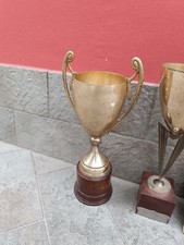 Lotto coppe trofeo usato  Cavezzo