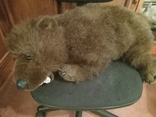 Brown bear grizzly for sale  Saint Johnsville