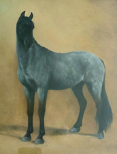 Maud turner 1945 for sale  WALSALL