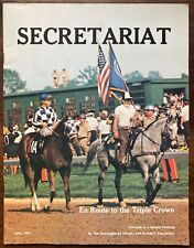 Secretariat tribute bloodhorse for sale  Cochranton