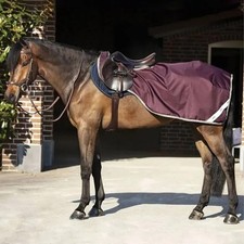 Horseware amigo ripstop for sale  DURHAM