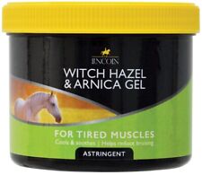Lincoln witch hazel for sale  POULTON-LE-FYLDE