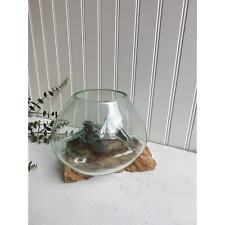 Terrarium blown molten for sale  Hialeah