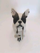 pups french bulldog for sale pups french bulldog for sale SITTINGBOURNE