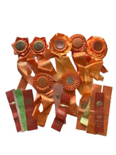 Vtg akc ribbons for sale  Zionsville