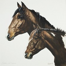 Terry logan framed for sale  HARROGATE