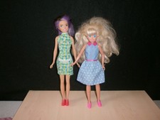 Barbie skipper doll gebraucht kaufen  Grevenbroich