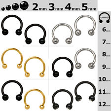 2er Set Circular Barbell Hufeisen Septum Augenbrauen Lippen Nasen Piercing comprar usado  Enviando para Brazil